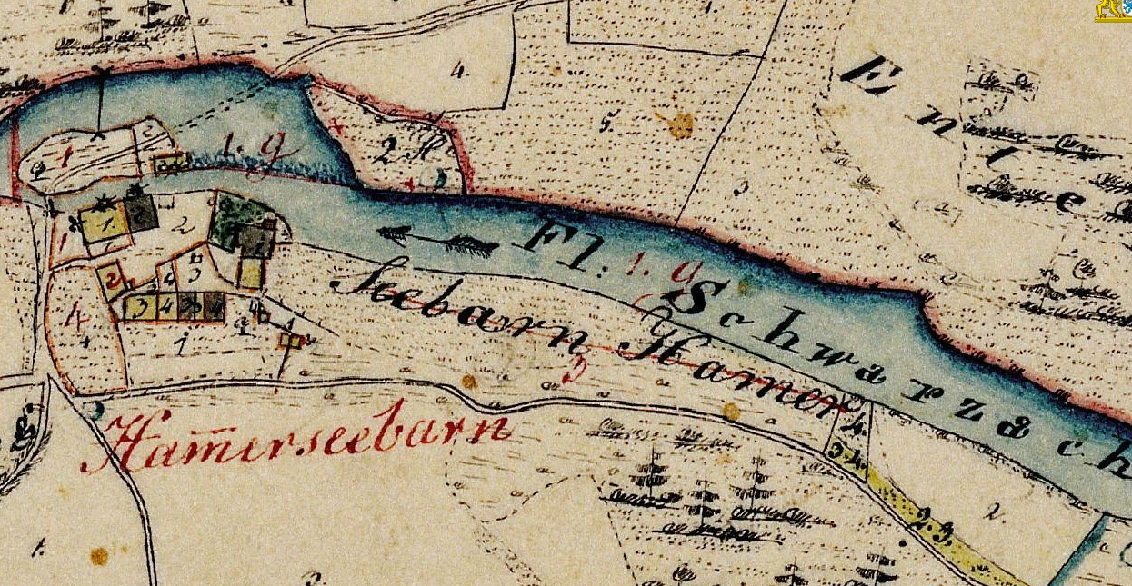 Historische Darstellung des Seebarnhammers (Public Domain)